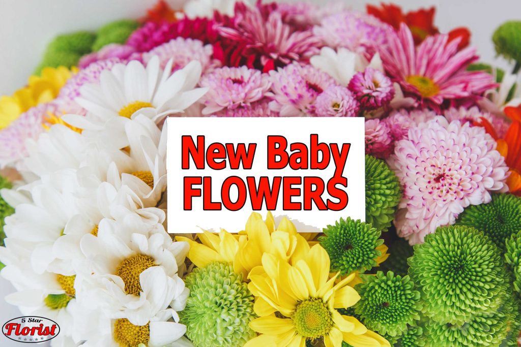 new baby flowers Ottawa